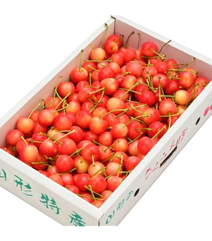 さくらんぼ Amazon.co.jp: 山形県産 ご家庭用 さくらんぼ 佐藤錦 1kg (Mサイズ