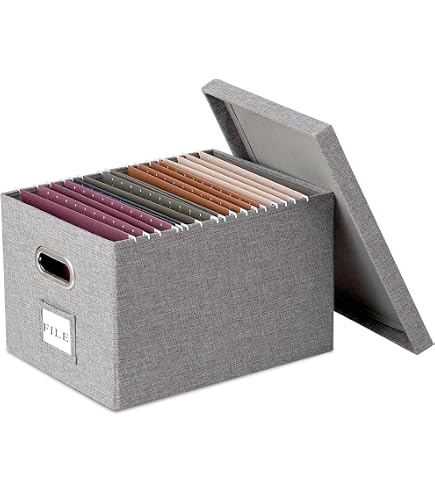 Leitz Premium Archive Box with Locking Flap, 120 mm Spine Width