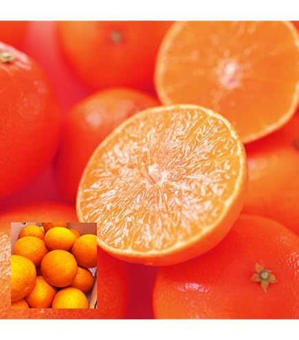 Amazon.co.jp: 紅まどんな 訳あり 紅マドンナ 愛果28号 ご家庭用 5