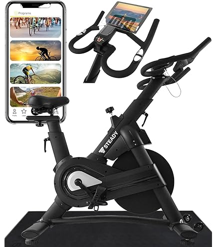 Amazon | アルインコ(ALINCO) フィットネスバイク AFB4309WX + マット