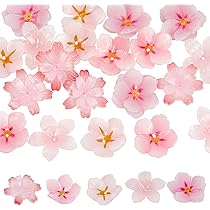 713jEDFAM8L._AC_UL210_SR210,