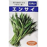 Amazon エンサイ 空芯菜 伊都野菜 空芯菜 通販