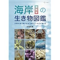 天草のカニ類写真図鑑　吉﨑和美　一粒書房 Amazon.co.jp: 天草のカニ類写真図鑑 吉﨑和美 一粒書房 : おもちゃ
