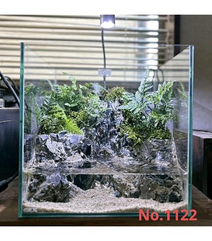 Amazon.co.jp: 受注作 アクアテラリウム 滝 池 苔テラリウム 30cm水槽