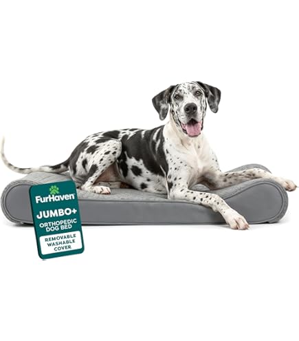 Amazon | ジャンボ 整形外科犬用ベッド - 厚さ7インチ 低反発素材