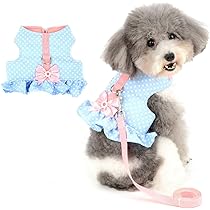 犬　ハーネス　洋服 CITYDOG 犬 ハーネス 服 トレンチハーネス リード付き おしゃれ