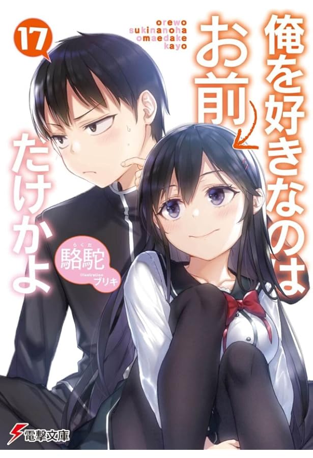 Amazon.co.jp: 俺を好きなのはお前だけかよ(13) (電撃文庫) : 駱駝