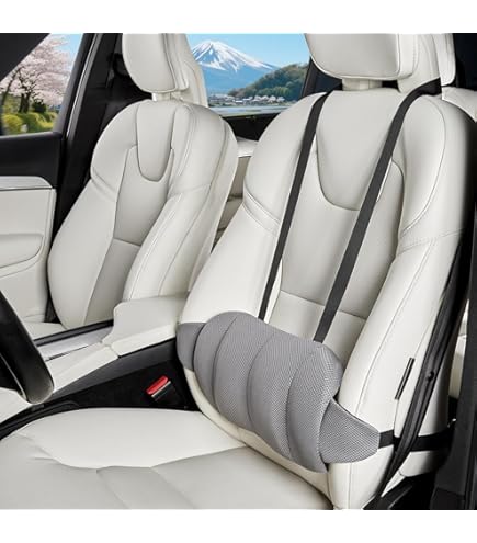 Amazon.co.jp: (コンフィライフ) ComfiLife 腰椎サポートバックピロー