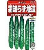 Amazon | サカタのタネ 実咲野菜0977 特大ひょうたん 天下一 00920977