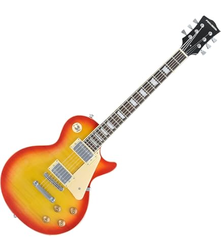 Amazon | PLAYTECH エレキギター LP400 BLACK | エレキギター