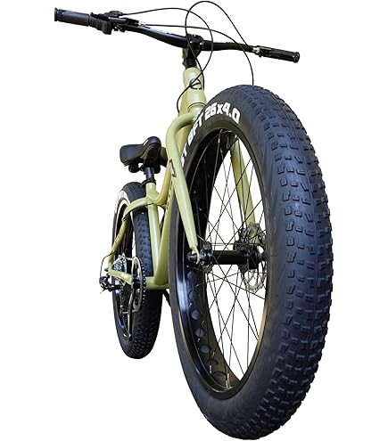 S*I様 EIZER ファットバイク 自転車 26インチ 極太タイヤ　アイゼル Amazon | アイゼル(Eizer) ファットバイク 26インチ 極太タイヤ