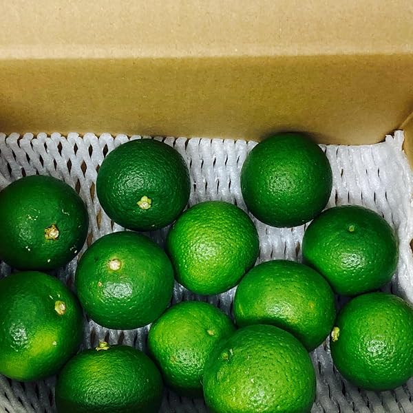 かぼす　専用 大分特産かぼす使用【カボスパイ】24枚入り