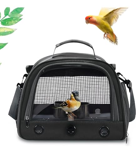 Amazon.co.jp: セイル 鳥リュック オカメインコ 約H400xW150xD200mm