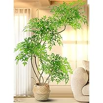 714ARO0Ic6L._AC_UL210_SR210,