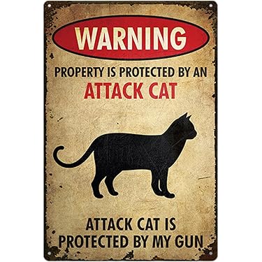 Amazon.co.jp 売れ筋ランキング: 装飾用看板・プラーク の中で最も人気