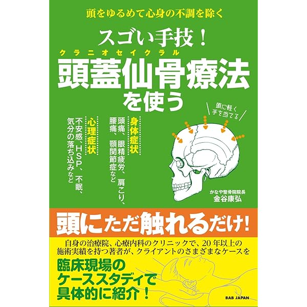 ソフトブロックテクニック 脳脊髄液調整法 2016～17年版 ソフトブロックテクニック脳脊髄液調整法―CSFプラクティス2015~16年版