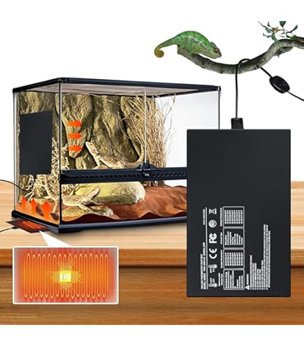 Amazon | EXO TERRA (エキゾテラ) ヒーティングトップ M 爬虫類