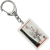 南海(南海電車)30000系こうや号運転記念キーホルダー、ピンバッジ他計13点 南海(南海電車)30000系こうや号運転記念キーホルダー