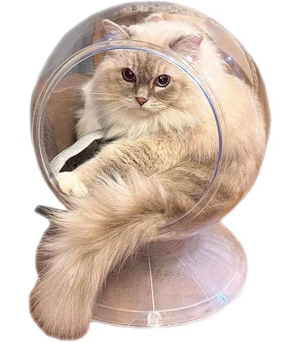Amazon | Jingshihaisu 宇宙船 猫ハウス 木製 透明 クリア ドーム状