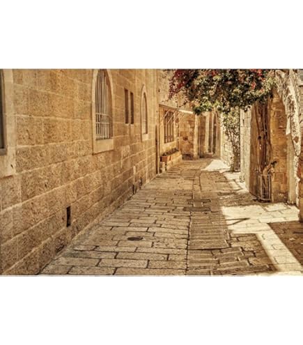 Buy CSFOTO Jerusalem Old Narrow Street Backdrop Old Jerusalem Backdrop Spring Flowers Sunshine Background For Photography Backdrop Ancient Stone Wall Backdrop Cave Backdrop - View #8
