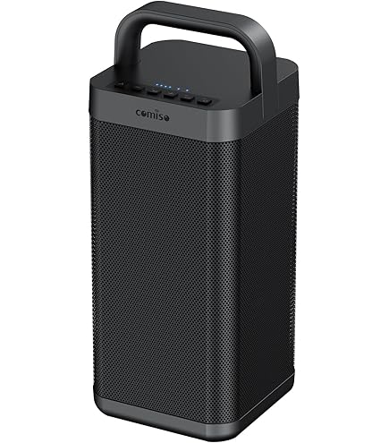 Fender Indio 2 Bluetooth Speaker (Black) : Amazon.sg: Electronics