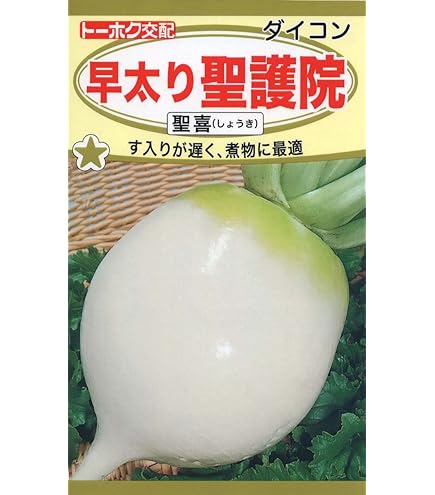Amazon.co.jp: Daikon Radish Seeds Early Fat Shogoin Abbreviation