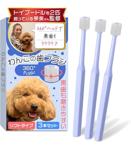 【お得10本セット】トーラス　ボーダン ( TAURUS Beaudent ) ボーダン♢歯ブラシ