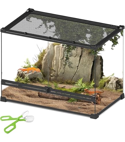 Amazon | 爬虫類飼育箱繁殖箱ラットマウス小動物用ケージ