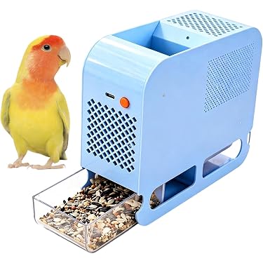 【小鳥用】わぃわぃ楽しい♬螺旋状ゆったりバードスタンド 小鳥用】わぃわぃ楽しい♬螺旋状ゆったりバードスタンド Amazon.co.jp