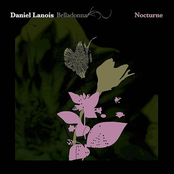 Amazon.co.jp: Player, Piano - Daniel Lanois: ミュージック
