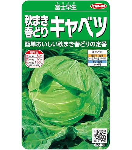 緑単キャベツ 緑単キャベッジ(ディザスター型)について｜Gachi@GT