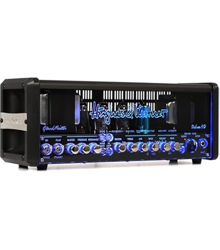 Amazon.co.jp: Hughes & Kettner Spirit Of Vintage 25ワット