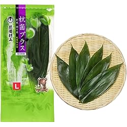 Amazon | 博屋 笹の葉 国産 新潟県産 Lサイズ 乾燥防止笹 料理用 下