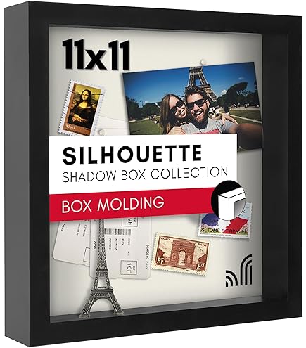 Amazon.co.jp: 海外 アントンピック作集 シャドウボックス : ホーム