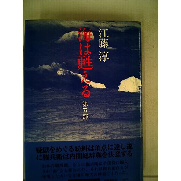 海は甦る 江藤淳 全五巻セット【稀少本】 海は甦る 江藤淳 全五巻セット【稀少本】 Amazon.co.jp: 海は
