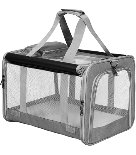 M-Pets Sixties Clock Pet Carrier, Blue : Amazon.com.au: Pet Supplies