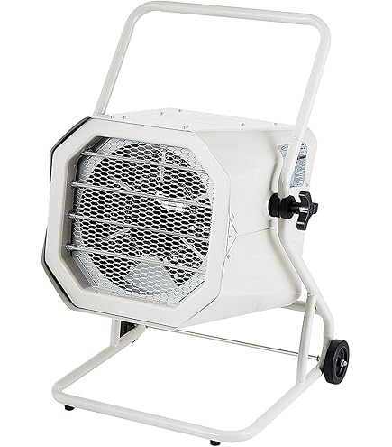 Amazon | ダイニチ (Dainichi) 石油ファンヒーター (木造12畳まで