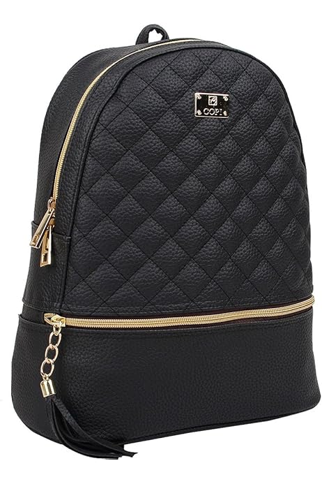 air jordan regal air backpack