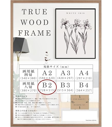 Amazon.co.jp: 正規品 平成聖母 Heisei Mary A2ポスター 大友昇平