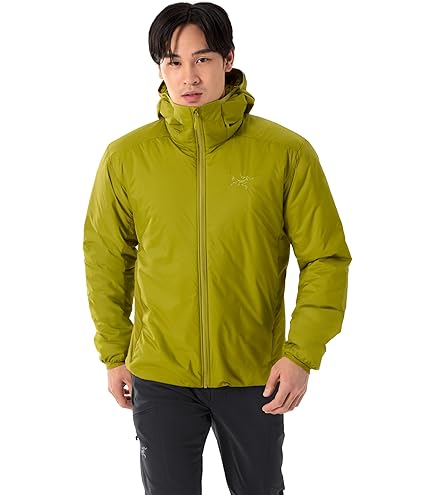 Amazon.co.jp: ARC'TERYX(アークテリクス) Beta SV Jacket Men's S