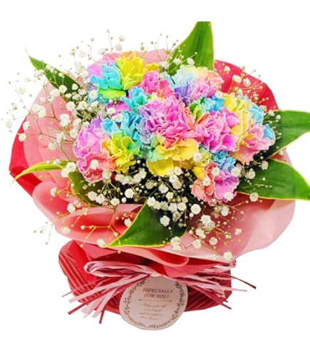 Amazon｜PURIZA 生花 虹色 レインボー カーネーション 24本 花束
