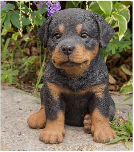 Amazon.co.jp: Hi-Line Gift Ltd 座っているセントバーナード子犬 675