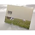 Mr.Children “HOME" TOUR 2007~in the field~ [LIVE DIRECT] [DVD]