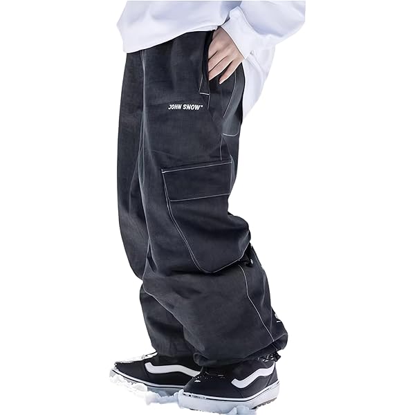 Amazon.co.jp: 24-25 DC SHOES(DCシューズ) スノーボードパンツ