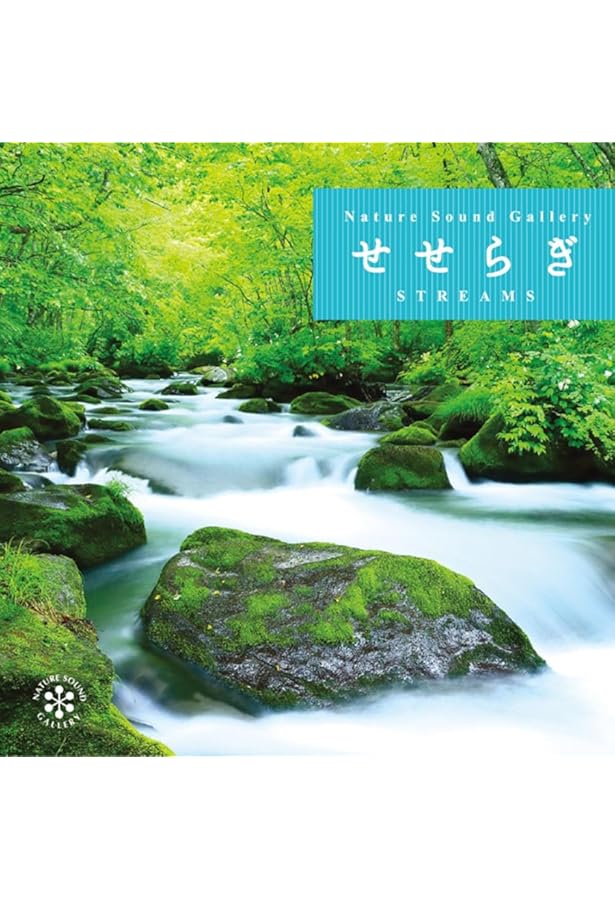 耳鳴りに悩んだ音楽家がつくったCDブック 【付録CD:Music for Ringing