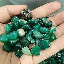 ナチュラルホワイトコーラル 水族館 造園 室内装飾品 家の装飾 石鉱物標本 714sIJxqVDL._AC_UL210_SR210,