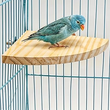 maona　鳥用品　止まり木　カクタス　スケルトン　パーチ　2本おまとめ 鳥用品 止まり木 カクタス スケルトン パーチ 細めサイズD ピピ