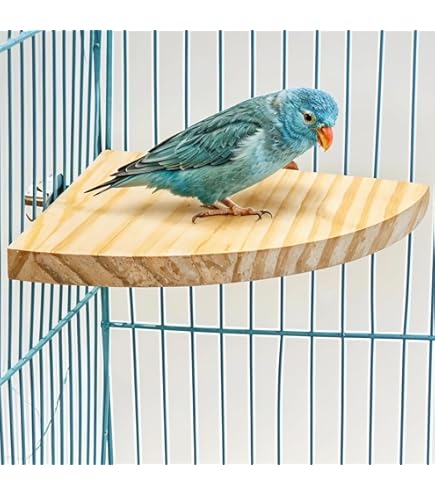 chiki様オーダー品 小鳥のステージ（とまり木）Sサイズ　２セット［匿名配送］ H3OTbhuNAk7UksNbH4mZ4XHeKJw3zN