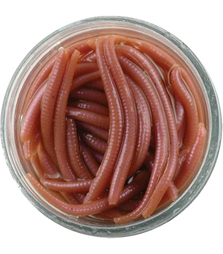 Amazon.co.jp: (バークレイ) Berkley Gulp!蛆虫 ソフト餌 1-Inch