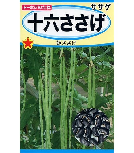 十六ささげの種(自然栽培) 十六ささげ | 株式会社ウタネ